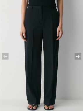 Aritzia Babaton Atelier black trousers size 4